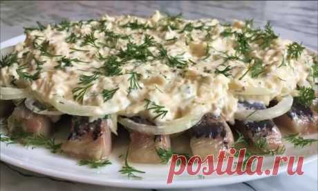 Селедка под сырным соусом — это невероятно вкусная закуска 
Если вы любите селедку, то этот рецепт именно для вас!
 
Такую закуску можно приготовить как в обычный день, так и на праздничный стол. Вы и ваши гости будете просто в восторге от такой закуски!
Ингр…