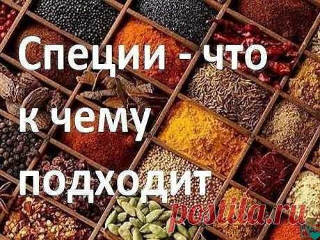 Все про специи