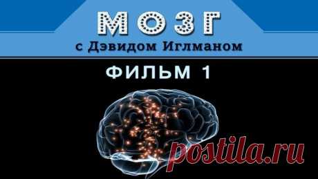Мозг с Дэвидом Иглманом. Фильм 1 Возможно, посмотрев это кино, вы с головой окунетесь в экзистенциальный кризис...