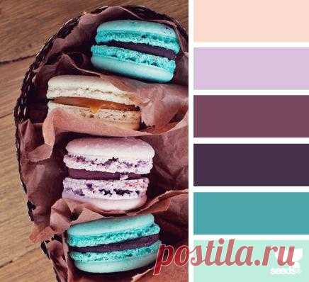 Design Seeds® | find your palette