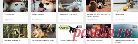 Крольчиха-мать жестоко отомстила змее — Рамблер.Видео