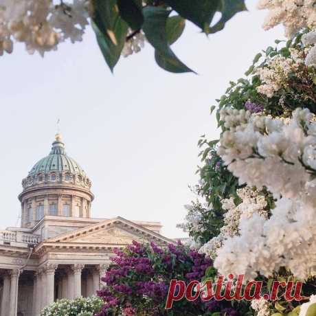 Kazan Cathedral by Anastasia Timina