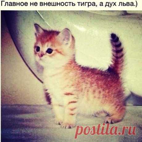 Lenta.doc | ВКонтакте