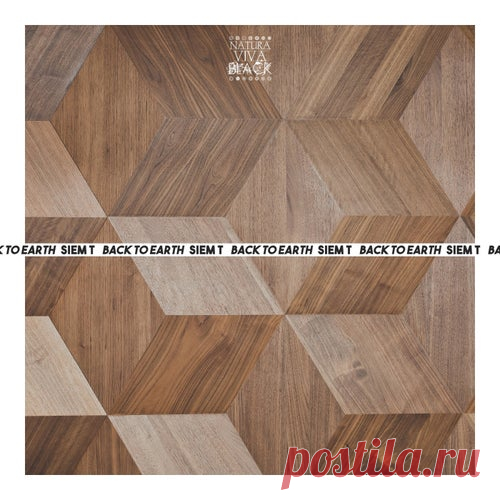 SIEM T - Back To Earth [Natura Viva Black]