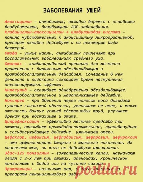 Шпаргалка на всю жизнь: 99 лекарств, которые могут вылечить почти все - Женский Журнал