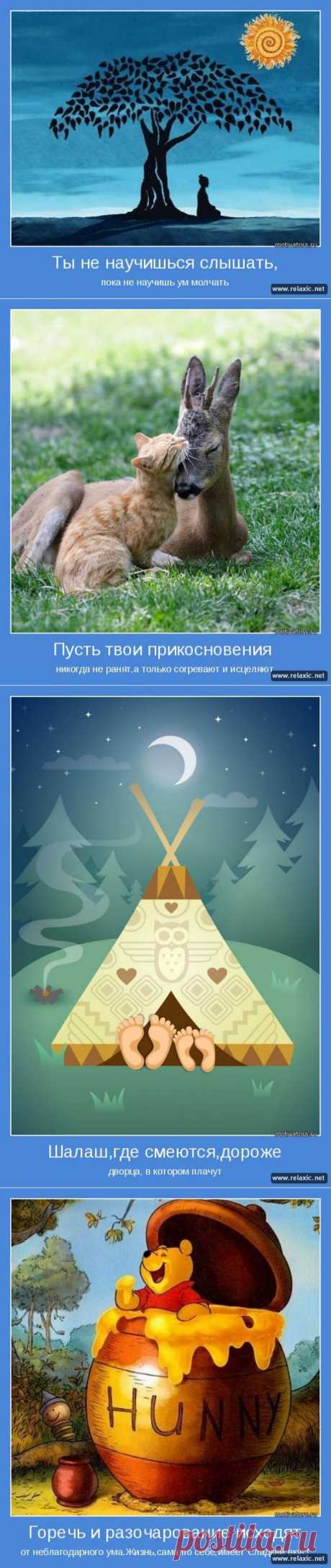 Позитивные мотиваторы (115 штук) | Релаксик