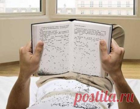 Как написать отзыв. В помощь школьникам