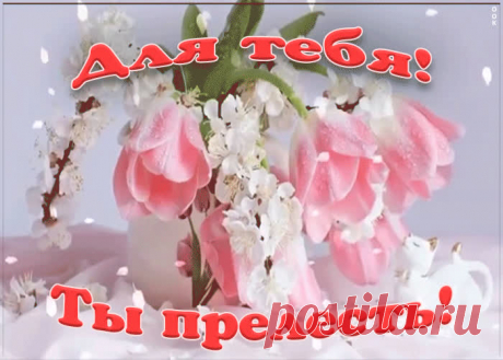 Прелестные тюльпаны для тебя