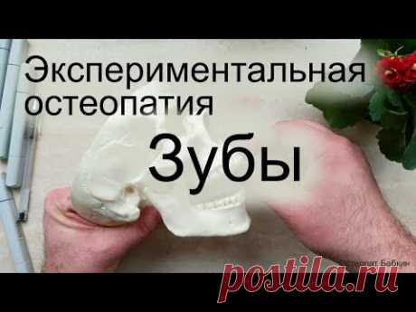 Остеопатическая работа с зубами
