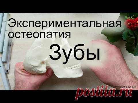 Остеопатическая работа с зубами