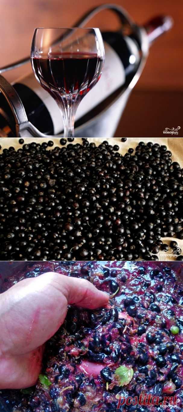 Вино из черной смородины - пошаговый кулинарный рецепт на Повар.ру