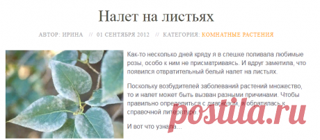 Налет на листьях – как избавиться, причины появления; белый и черный налет на листьях, рыжий налет