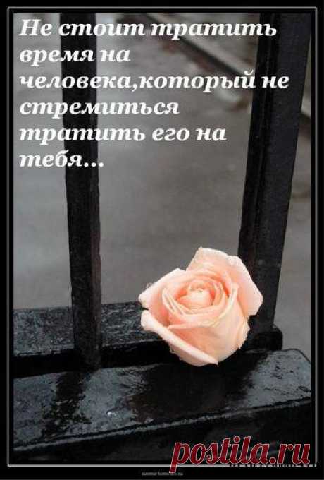Ни один человек не может стать более чужим, чем тот, кого ты в прошлом любил... (Є.М.Ремарк)