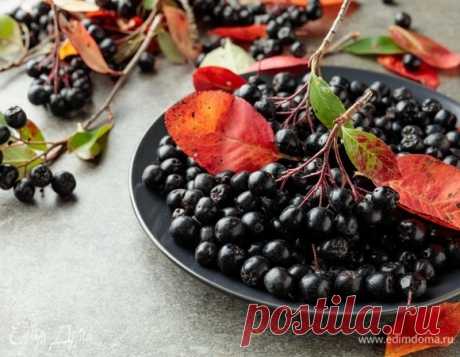 Что сделать из красной и черноплодной рябины на зиму. Кулинарные статьи и лайфхаки