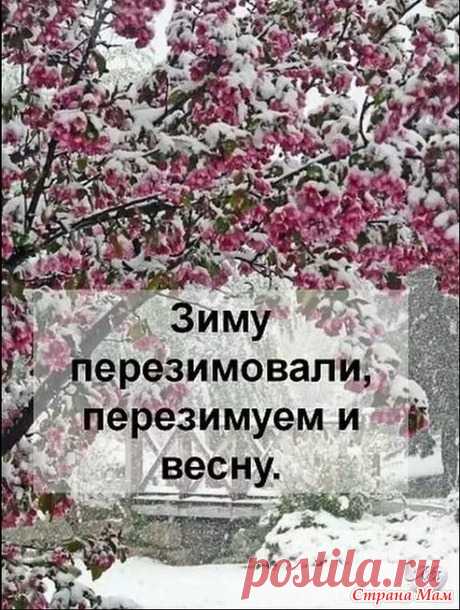 Юмор&gt;Улыбнитесь!