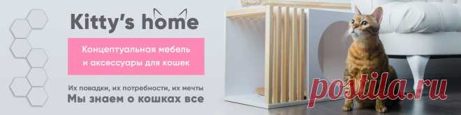 Kitty's home Китти'с хоум - производитель уникальных аксессуаров и мебели для кис и котиков № 1 в России. Нас выбирают самые именитые питомники.  ✔ Настенные и напольные игровые комплексы для кошек; ✔Домики для кошек; ✔ Когтеточки для кошек; ✔ Беговые колеса для кошек; ✔ Миски для кошек; ✔ Аксессуары для кошек;..