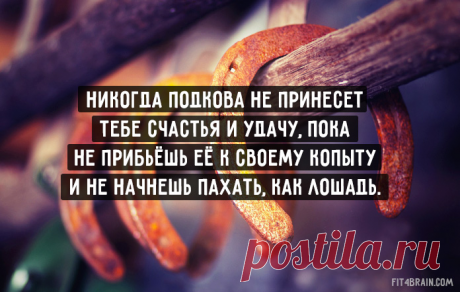 Единственный работающий секрет успеха: