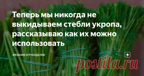 Теперь мы никогда не выкидываем стебли укропа, рассказываю как их можно использовать Приветствую своих постоянных читателей, а также, всех, кто заглянул на мой канал  впервые.
Наверняка, вы тоже выбрасываете стебли укропа? До недавнего времени, я, так же как и другие хозяйки  просто выбрасывала стебли, так как не знала как их использовать и считала, что это отходы, но оказалось, полезны не только мягкие веточки укропа, но и стебли, в которых содержится большое количество полезных