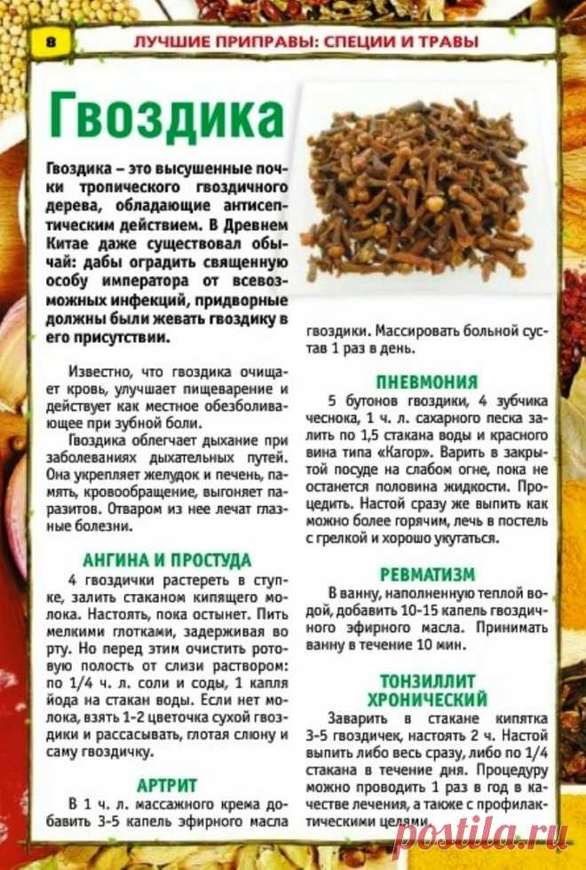 Зачем я перед сном всегда жую гвоздику. | советы Леди на бюджете | Яндекс Дзен