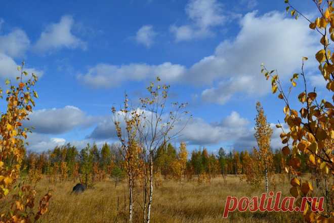 ФОТОМАСТЕРСКАЯ ПРИРОДЫ
Тамара Бабаева (Ишкова)