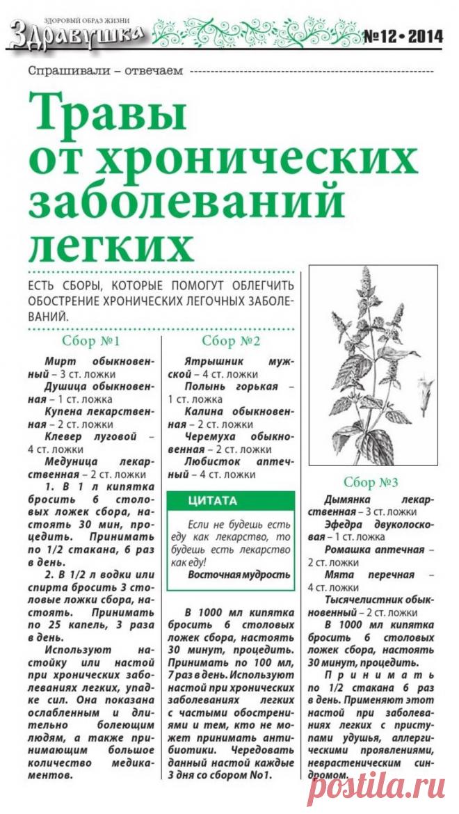 Травы от хронических заболеваний легких