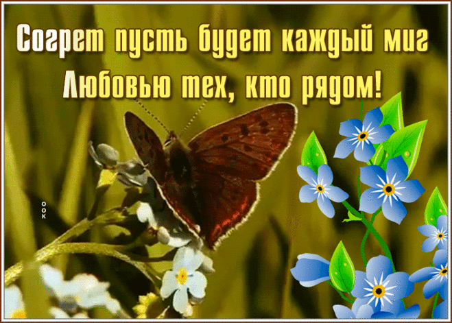 Открытка с пожеланиями любви