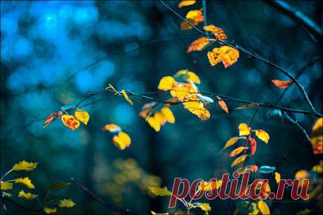 35PHOTO - Svoboda - осенняя прохлада....