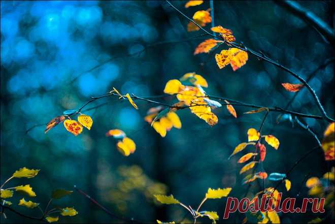 35PHOTO - Svoboda - осенняя прохлада....