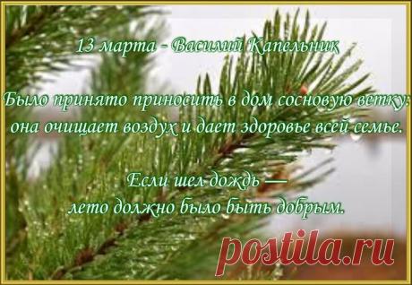 На Руси на Василия в дом приносили еловую или сосновую ветку, чтобы исходящий аромат прибавил здоровья домочадцам. Из сосновых почек и веток варили лечебный отвар. Открытки на Василий Капельник!