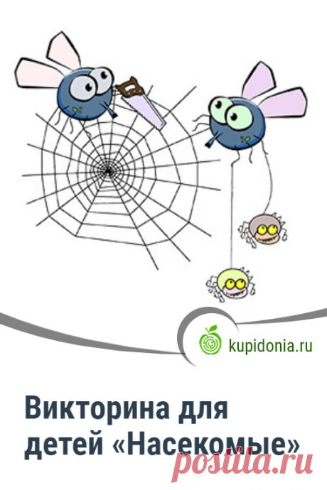Викторина для детей «Насекомые». Интересный тест для детей о насекомых с простыми вопросами. Пройди тест на сайте и проверь свои знания!
