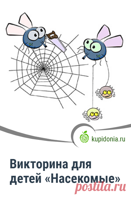 Викторина для детей «Насекомые». Интересный тест для детей о насекомых с простыми вопросами. Пройди тест на сайте и проверь свои знания!