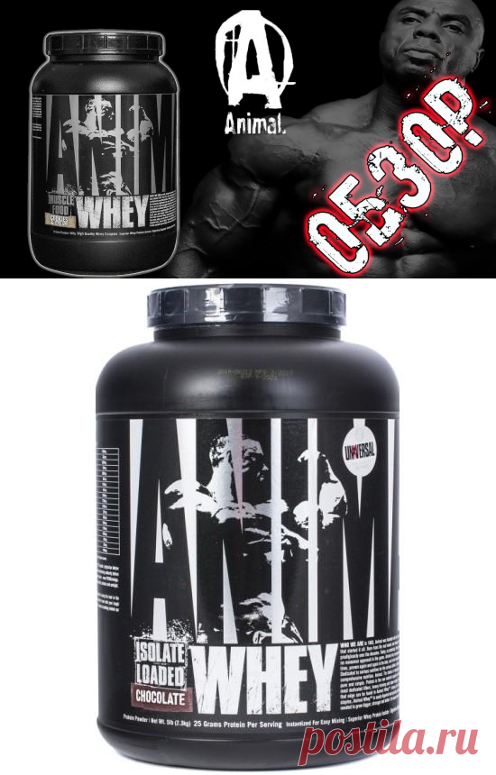 Протеин Animal Whey от Universal Nutrition - обзор, особенности и состав