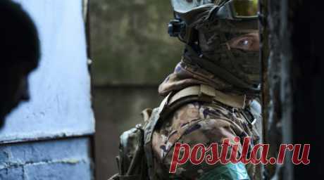 Жительница Курской области: украинские военные грабили дома и били окна. Украинские военнослужащие вели себя в Курской области как вандалы, похищали из домов технику и деньги, а также разбивали окна, сообщила военным следователям жительница деревни Никипеловка, находящаяся в эвакуации в Нижегородской области. Читать далее