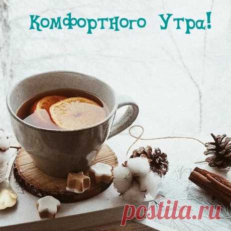 Что ни день свои законы! Ирина Расшивалова