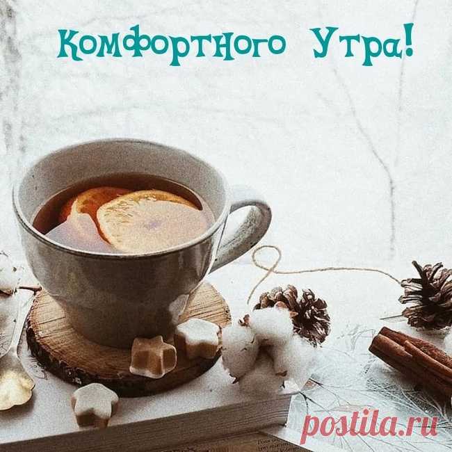 Что ни день свои законы! Ирина Расшивалова
