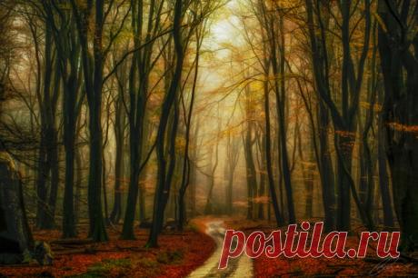 25 ярких фотографий из разных уголков мира от сообщества 500px