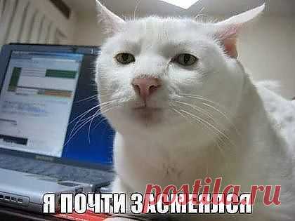 ПОЧТИ...