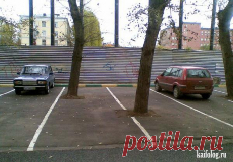 Так сказало начальство