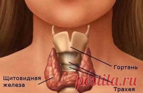 Каша для щитовидной железы