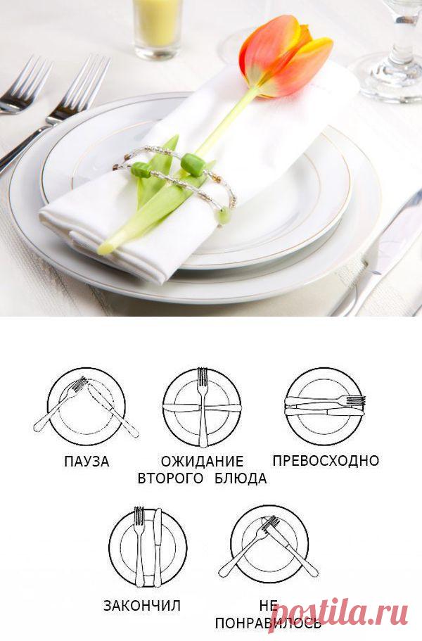 Язык столовых приборов / Домоседы