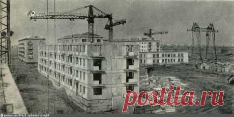 Фотография - Кузьминки, квартал №113 - Фотографии старой Москвы