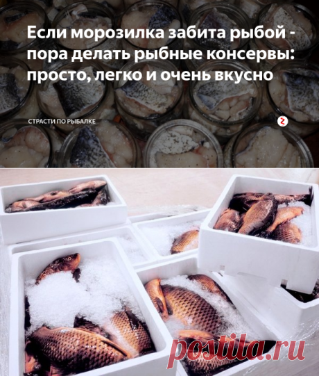 Если морозилка забита рыбой - пора делать рыбные консервы: просто, легко и очень вкусно | Страсти по рыбалке | Яндекс Дзен
