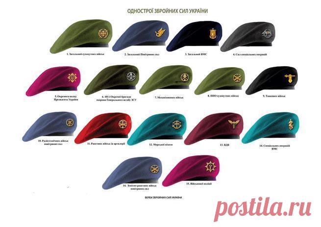 Актуальное - МирТесен