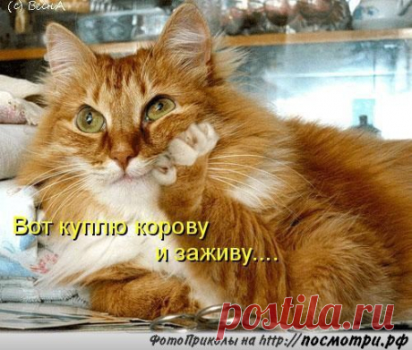... мечты, мечты....