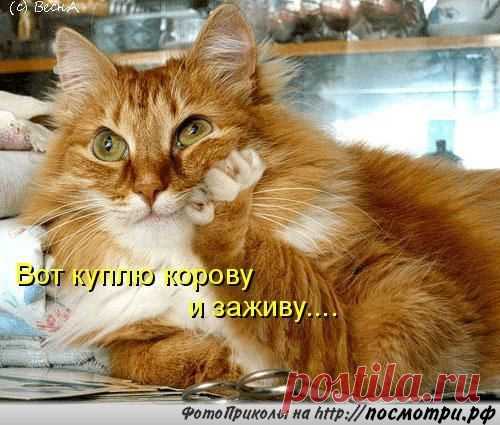 ... мечты, мечты....