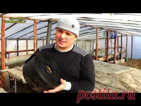 Стаканчики для рассады- два самых лучших варианта!