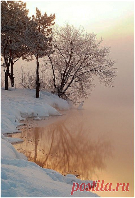 Winter dawn. - tomorrows adventures | tomorrows adventures