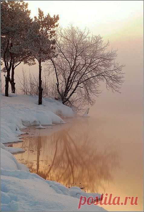 Winter dawn. - tomorrows adventures | tomorrows adventures