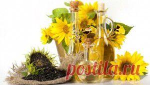 Записки донбасского эмигранта. Беженцы в Южной Пальмире | Темы дня