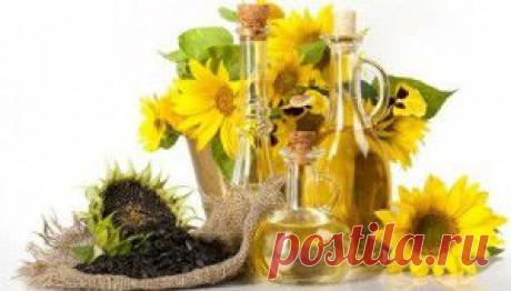 Записки донбасского эмигранта. Беженцы в Южной Пальмире | Темы дня